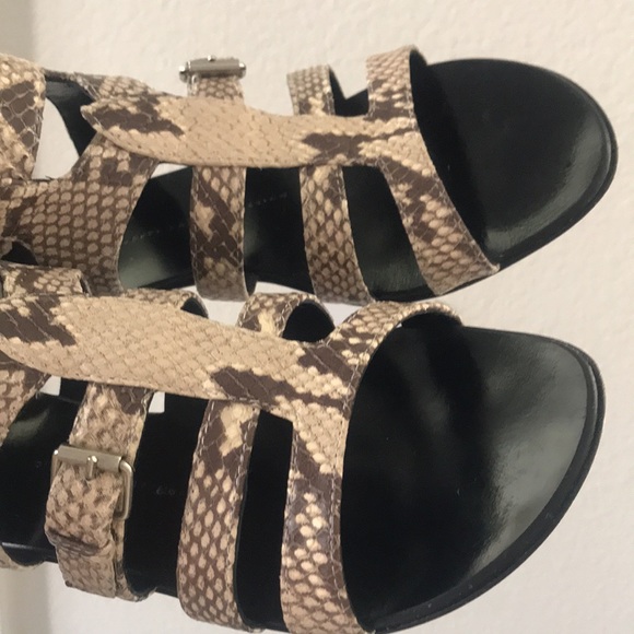 Giuseppe Zanotti design Gladiator Snake Print Sandals - Picture 13 of 13